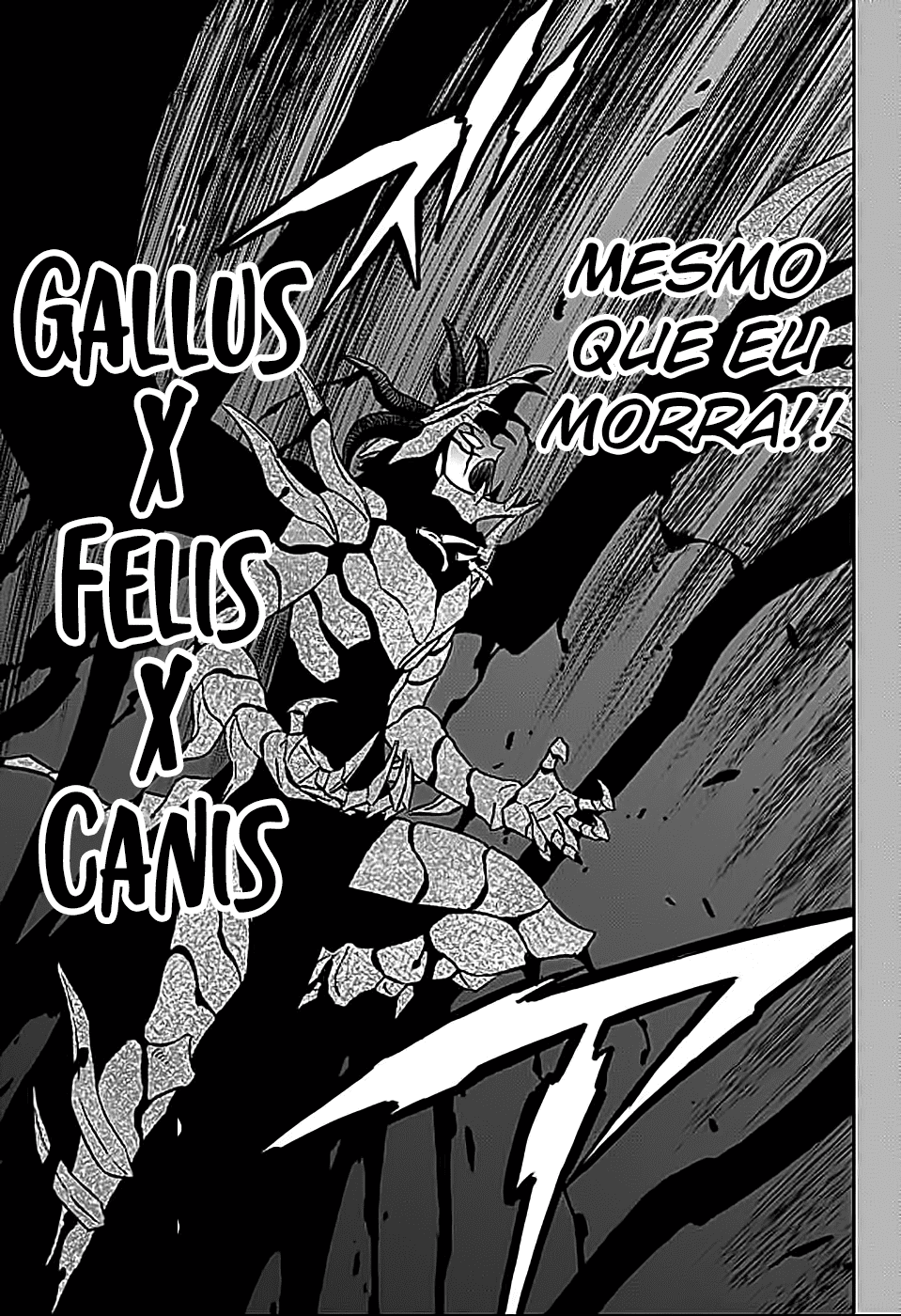 Read Black Clover BR Manga Online