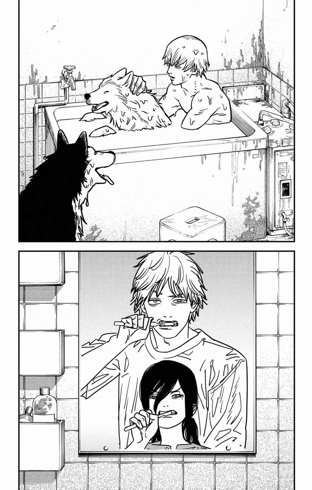 Read Chainsaw Man BR Manga Online