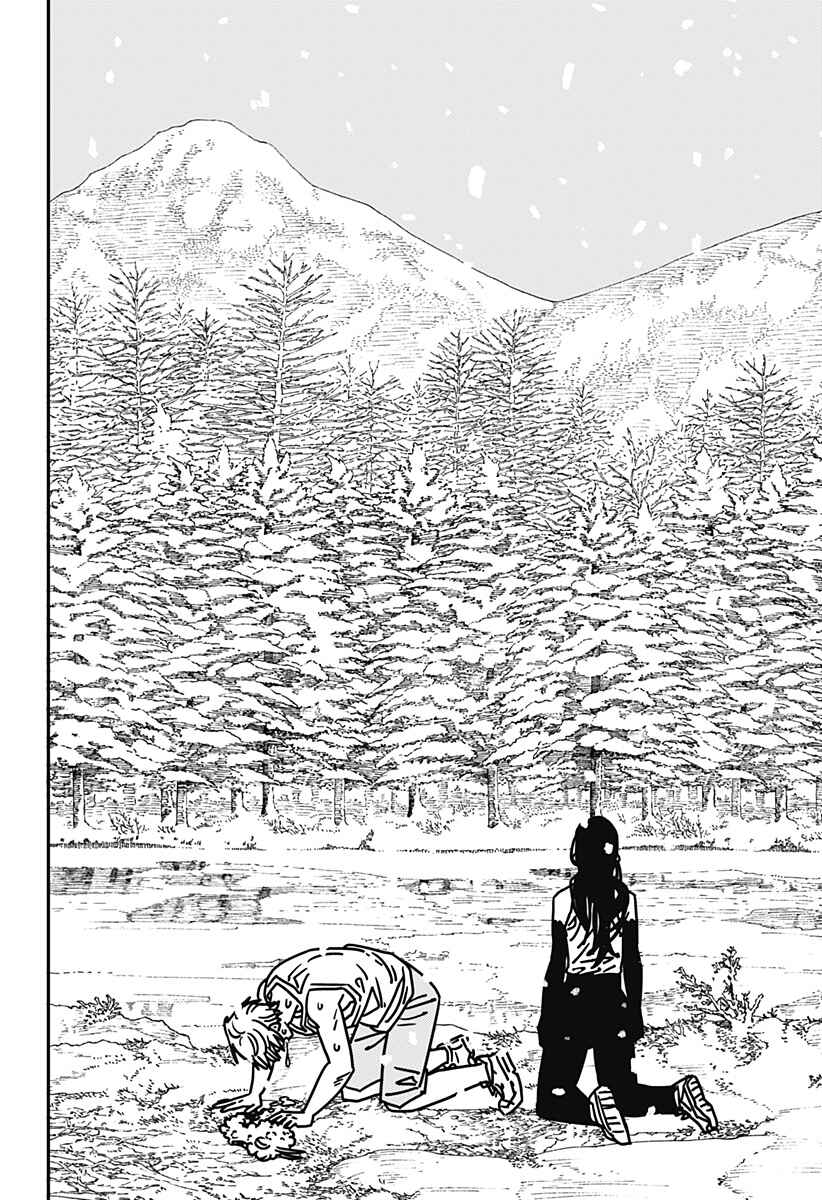 Read Chainsaw Man BR Manga Online