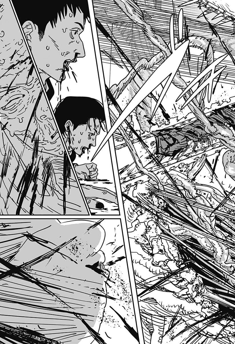 Read Chainsaw Man BR Manga Online