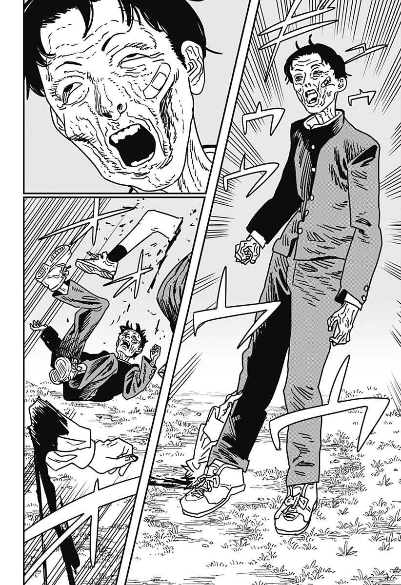 Read Chainsaw Man BR Manga Online