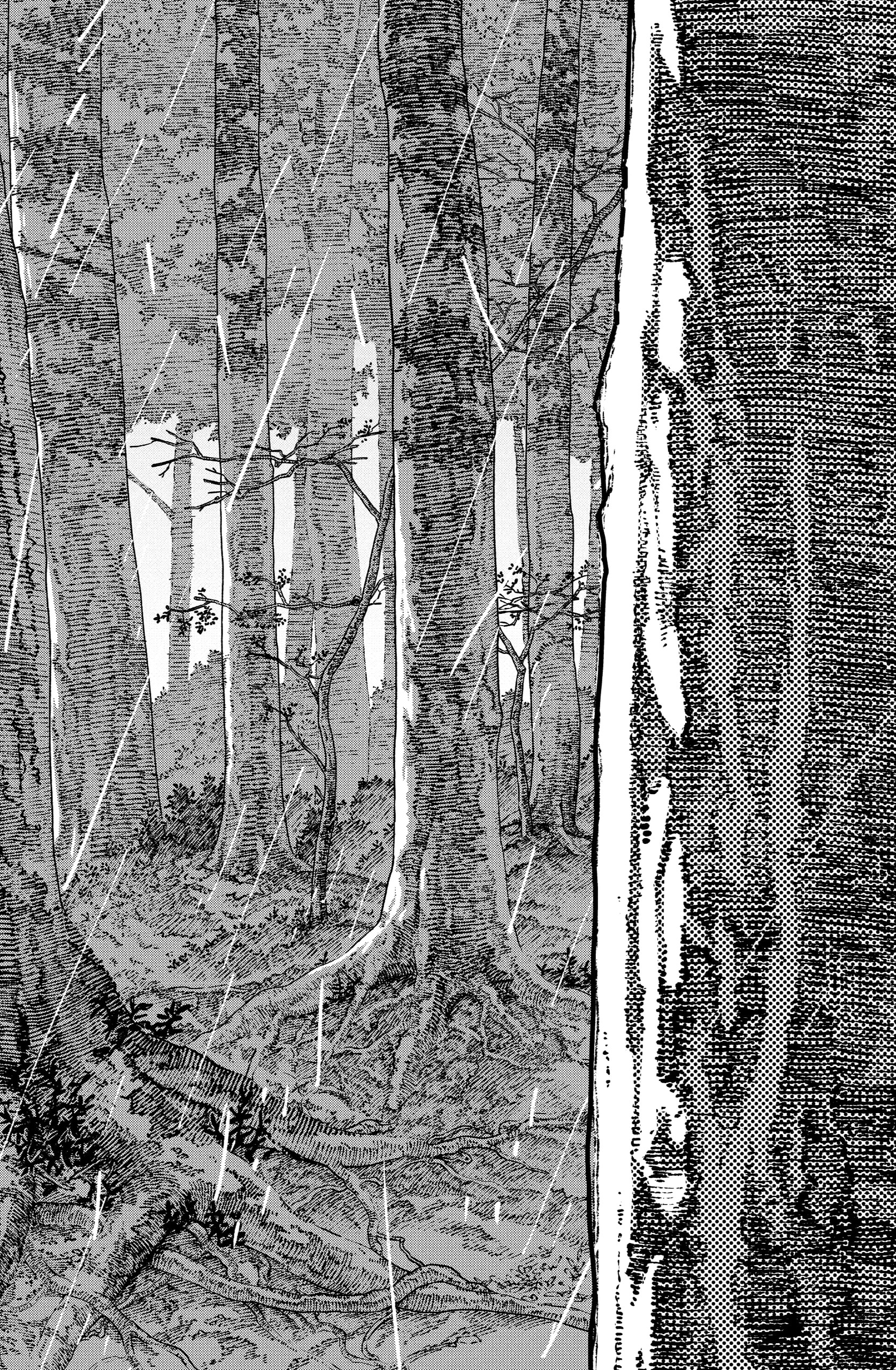 Read Chainsaw Man BR Manga Online