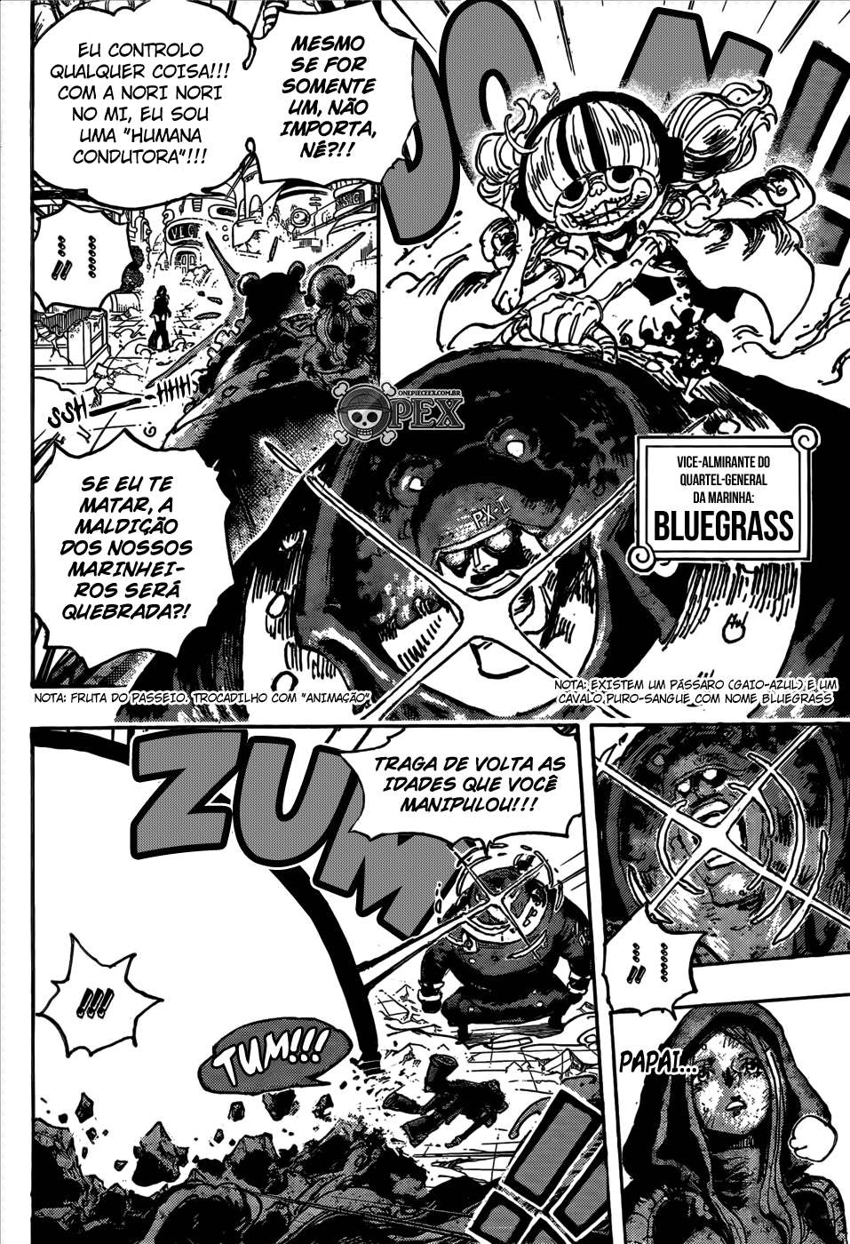 Read One Piece BR Manga Online