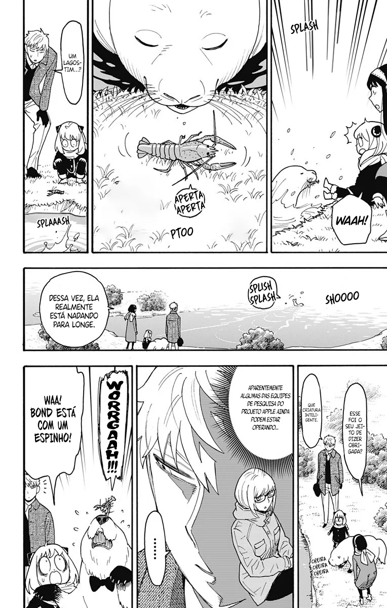 Read SPY×FAMILY BR Manga Online