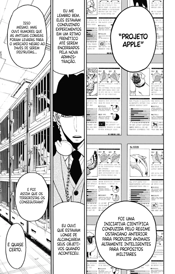 Read SPY×FAMILY BR Manga Online