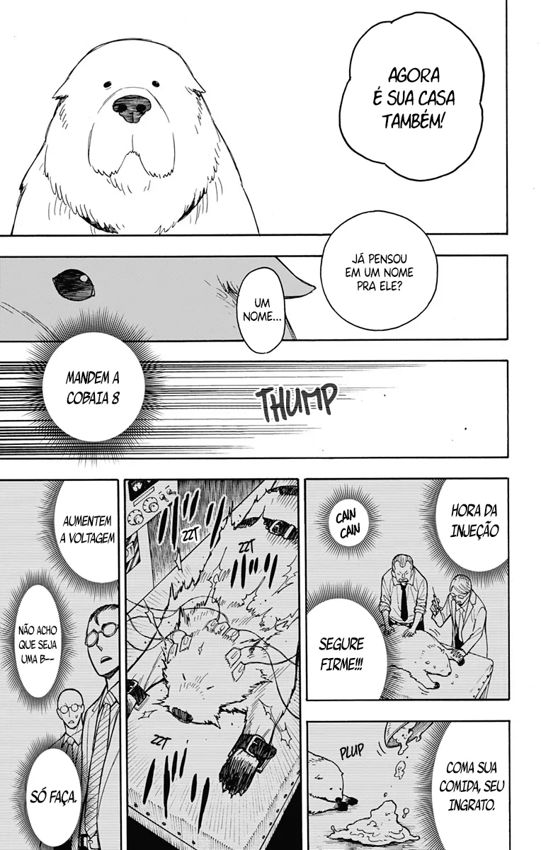 Read SPY×FAMILY BR Manga Online
