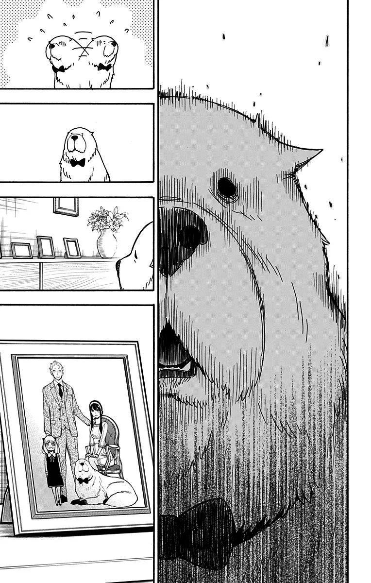 Read SPY×FAMILY BR Manga Online