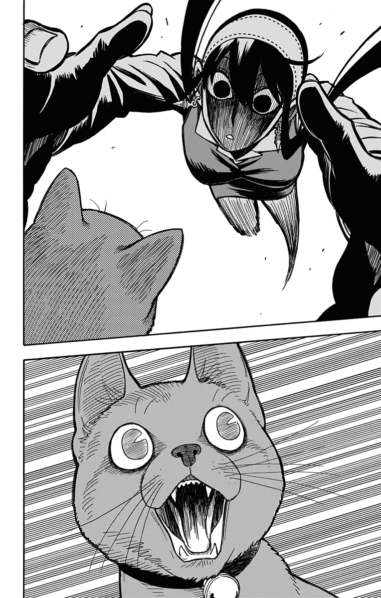 Read SPY×FAMILY BR Manga Online