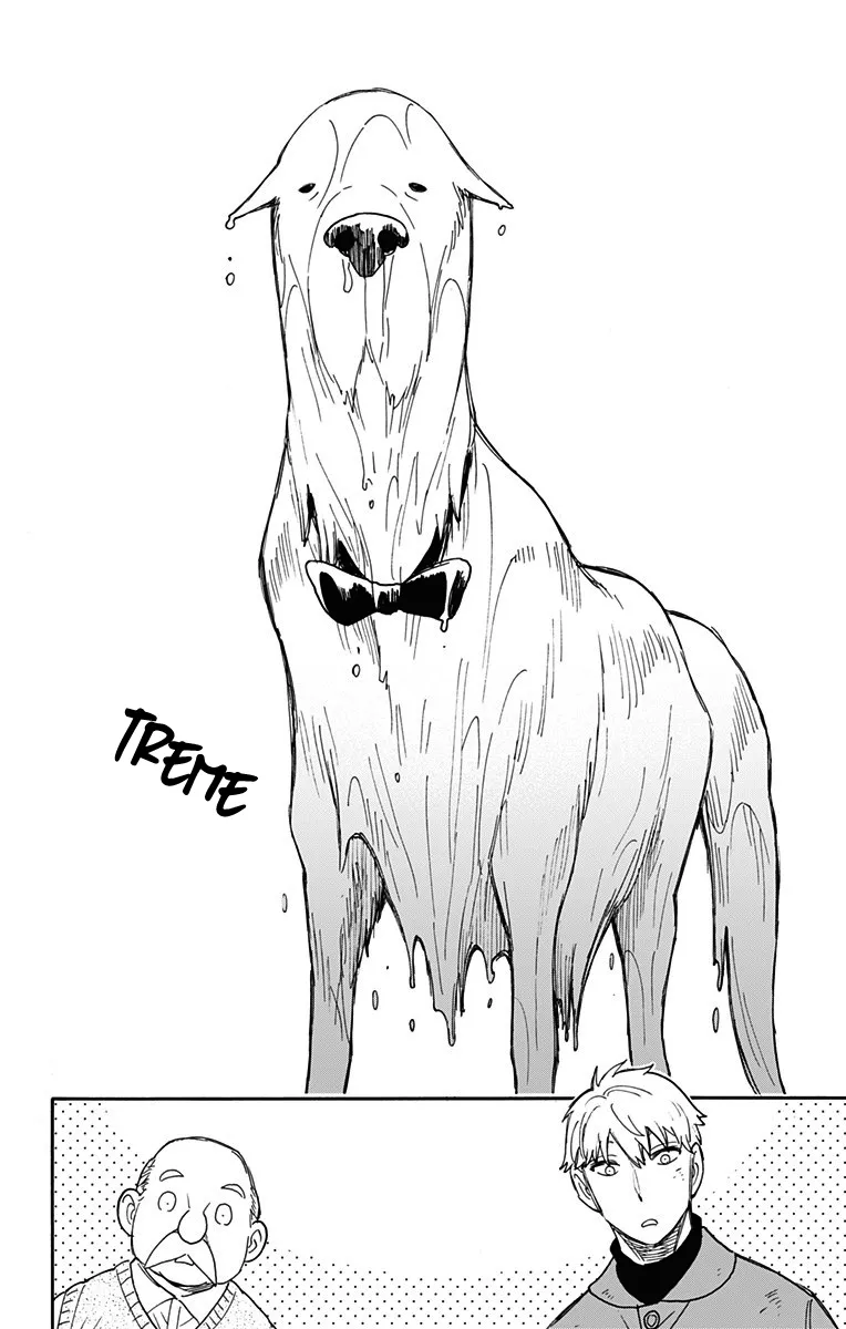 Read SPY×FAMILY BR Manga Online