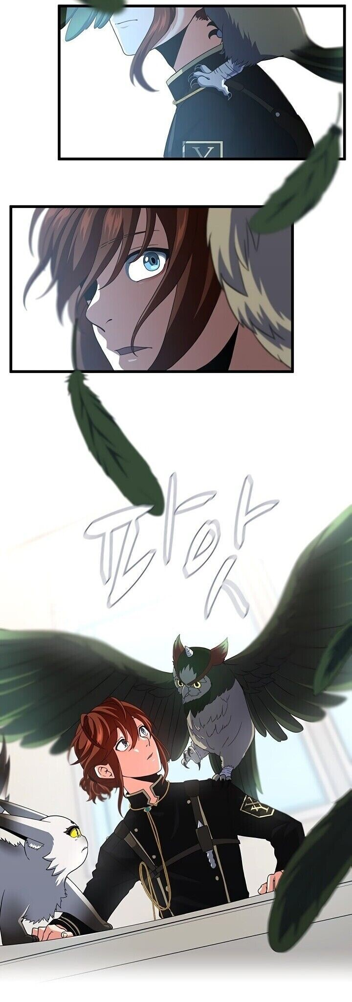 Read The Beginning After The End BR Manga Online