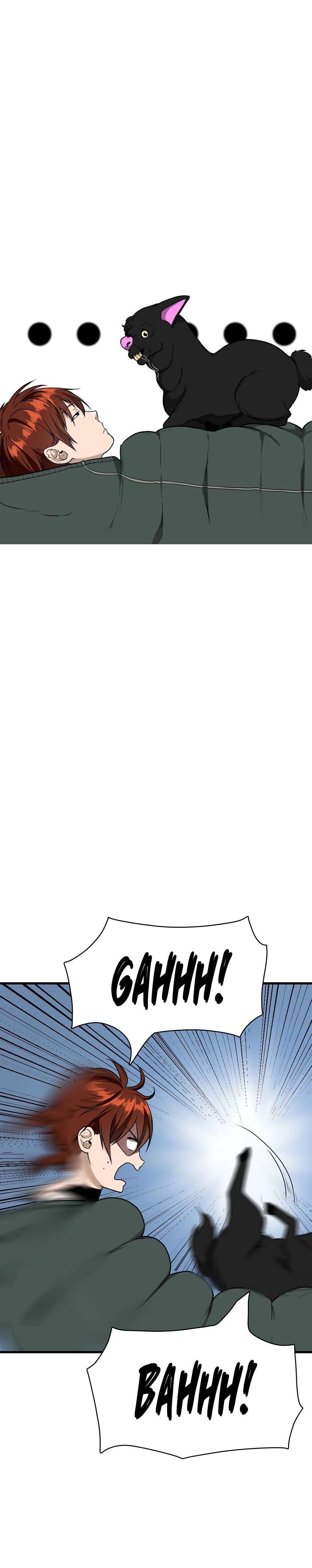 Read The Beginning After The End BR Manga Online