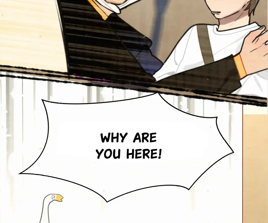 Read Can't Be Friends With Girls Manga Online