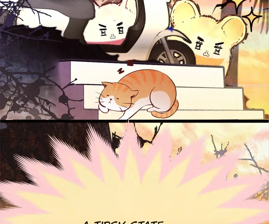 Read Can't Be Friends With Girls Manga Online