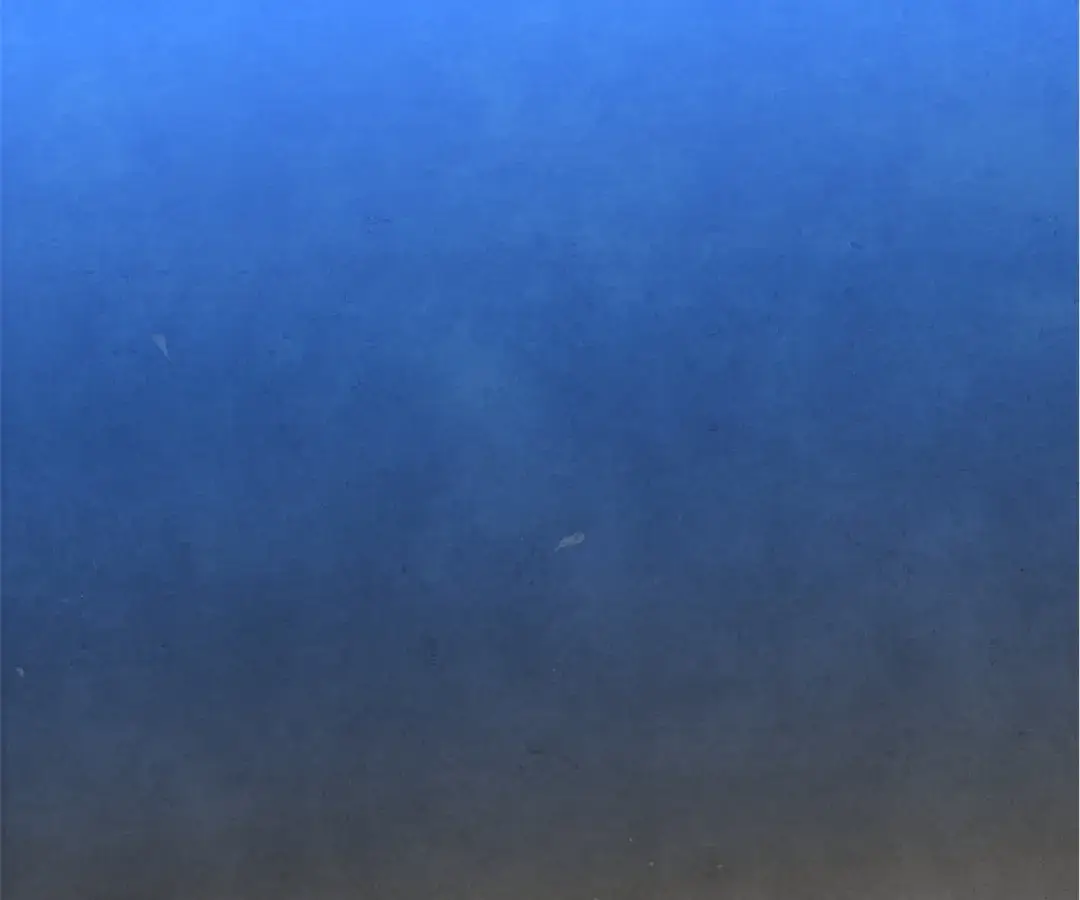 Read Can't Be Friends With Girls Manga Online