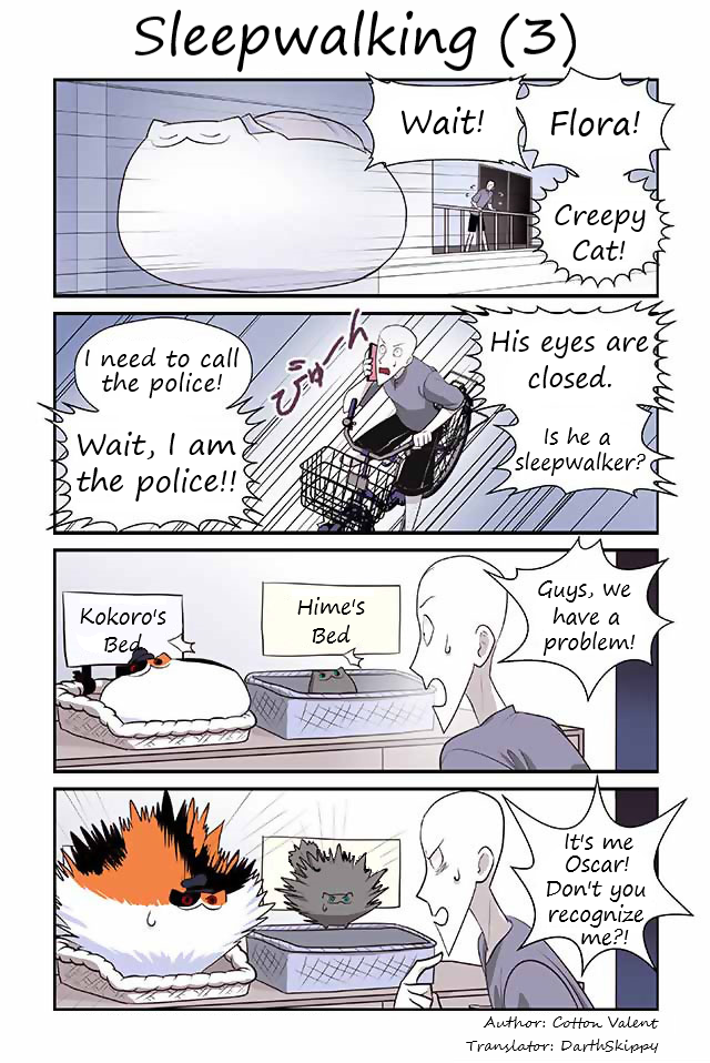 Read Creepy Cat Manga Online