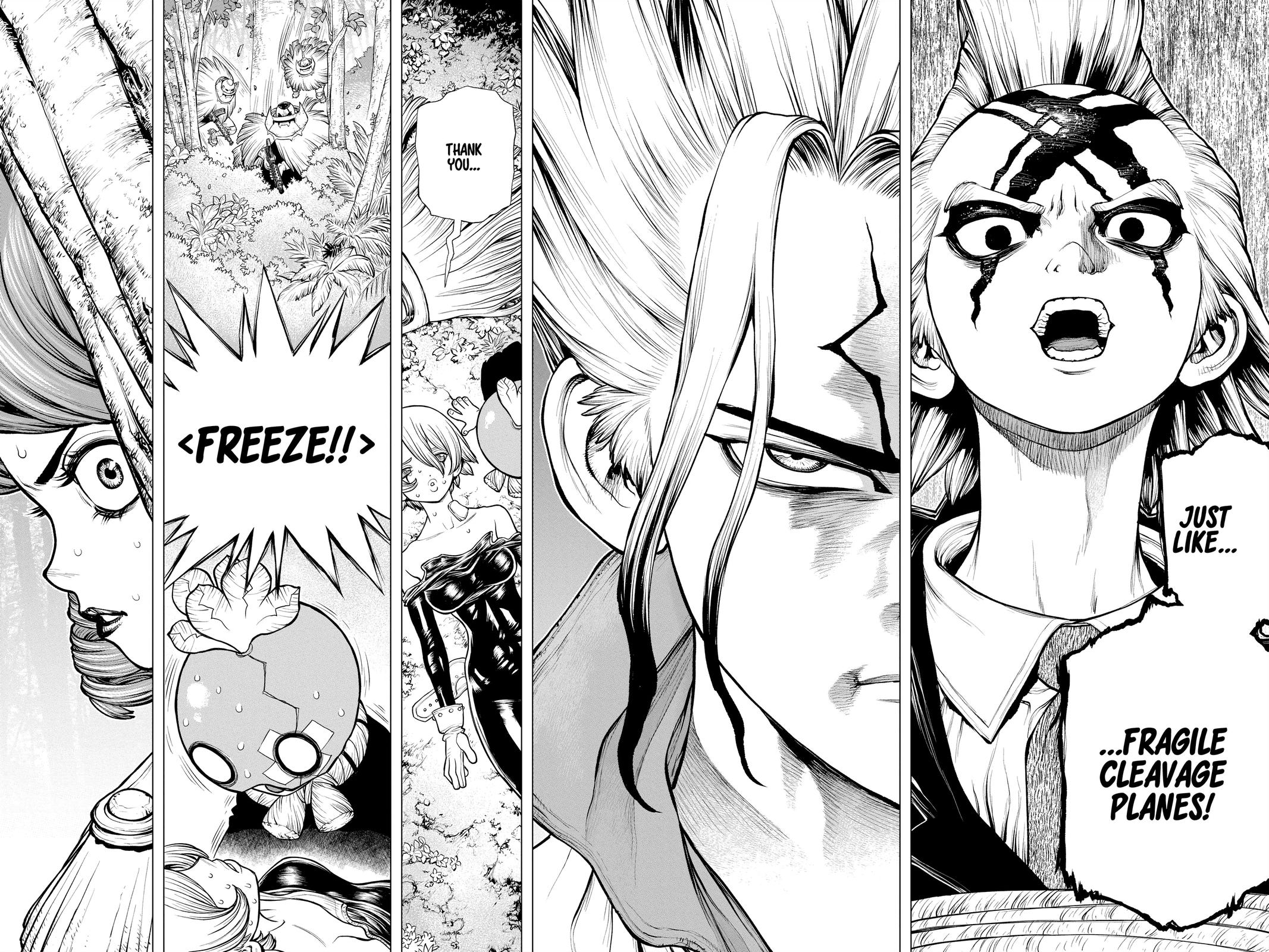Read Dr. STONE Manga Online