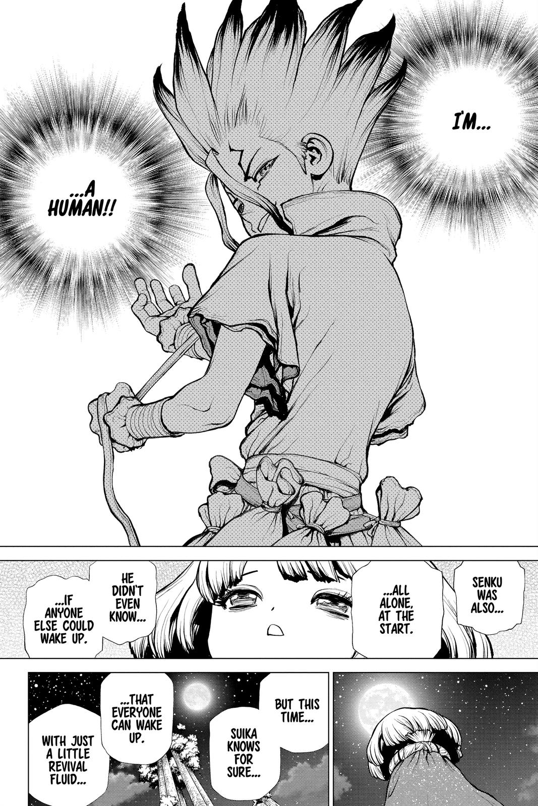 Read Dr. STONE Manga Online