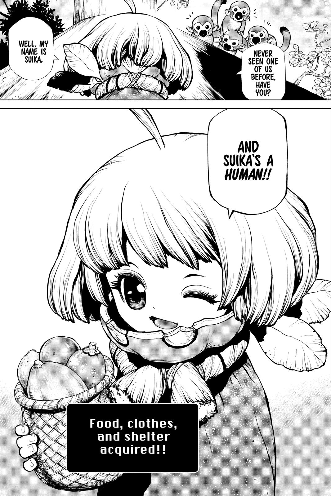 Read Dr. STONE Manga Online