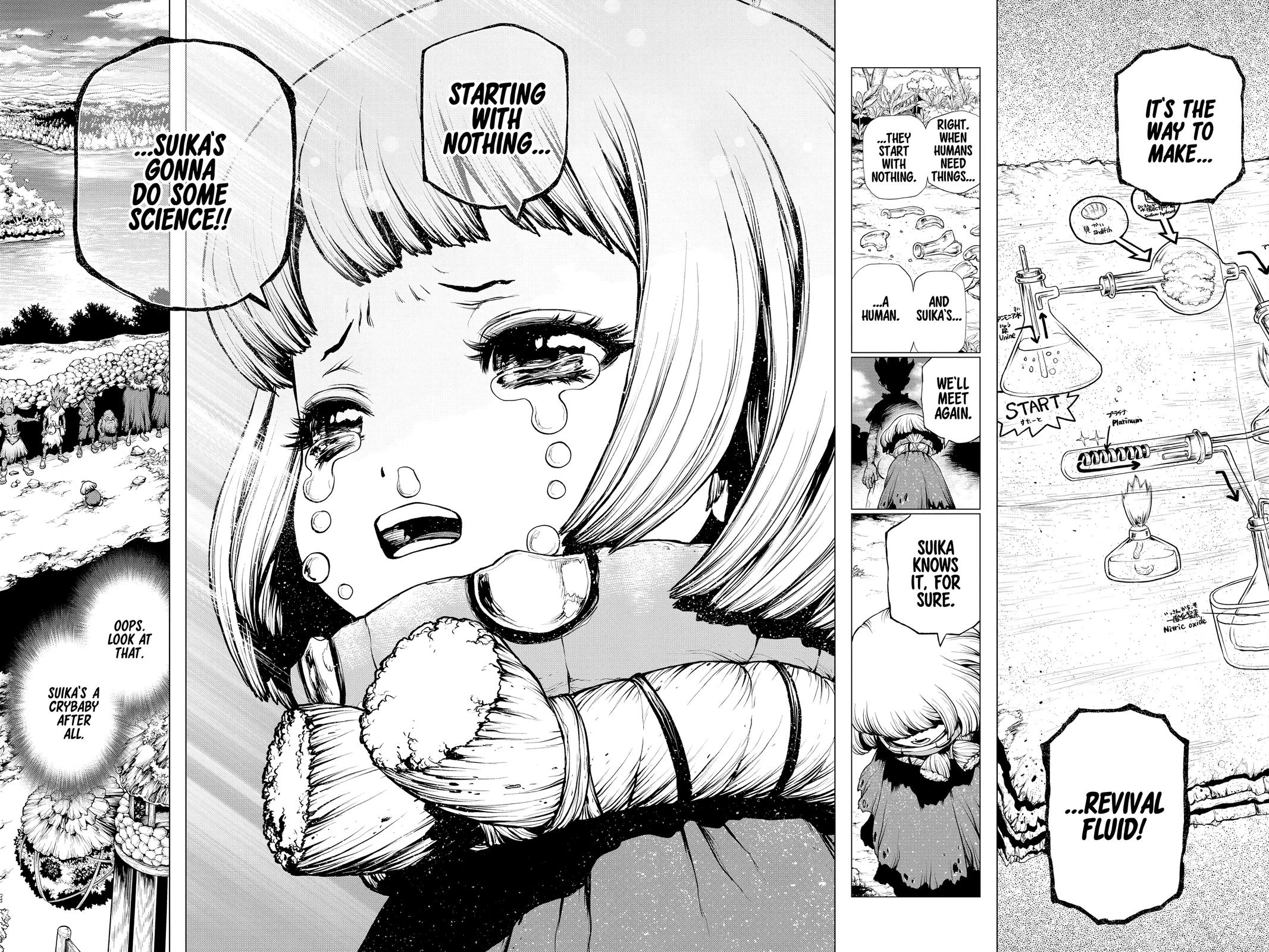 Read Dr. STONE Manga Online