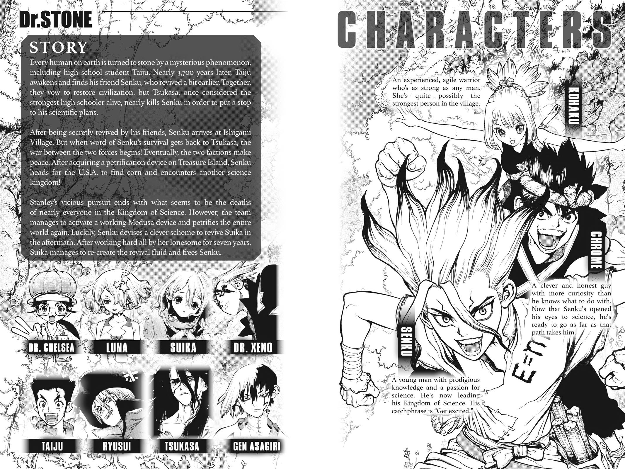 Read Dr. STONE Manga Online