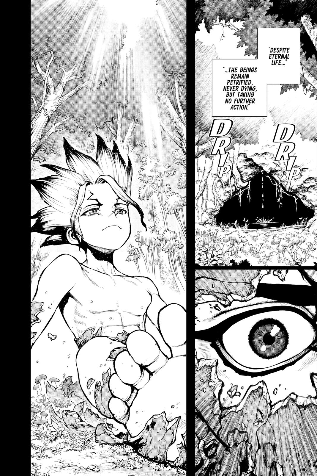 Read Dr. STONE Manga Online