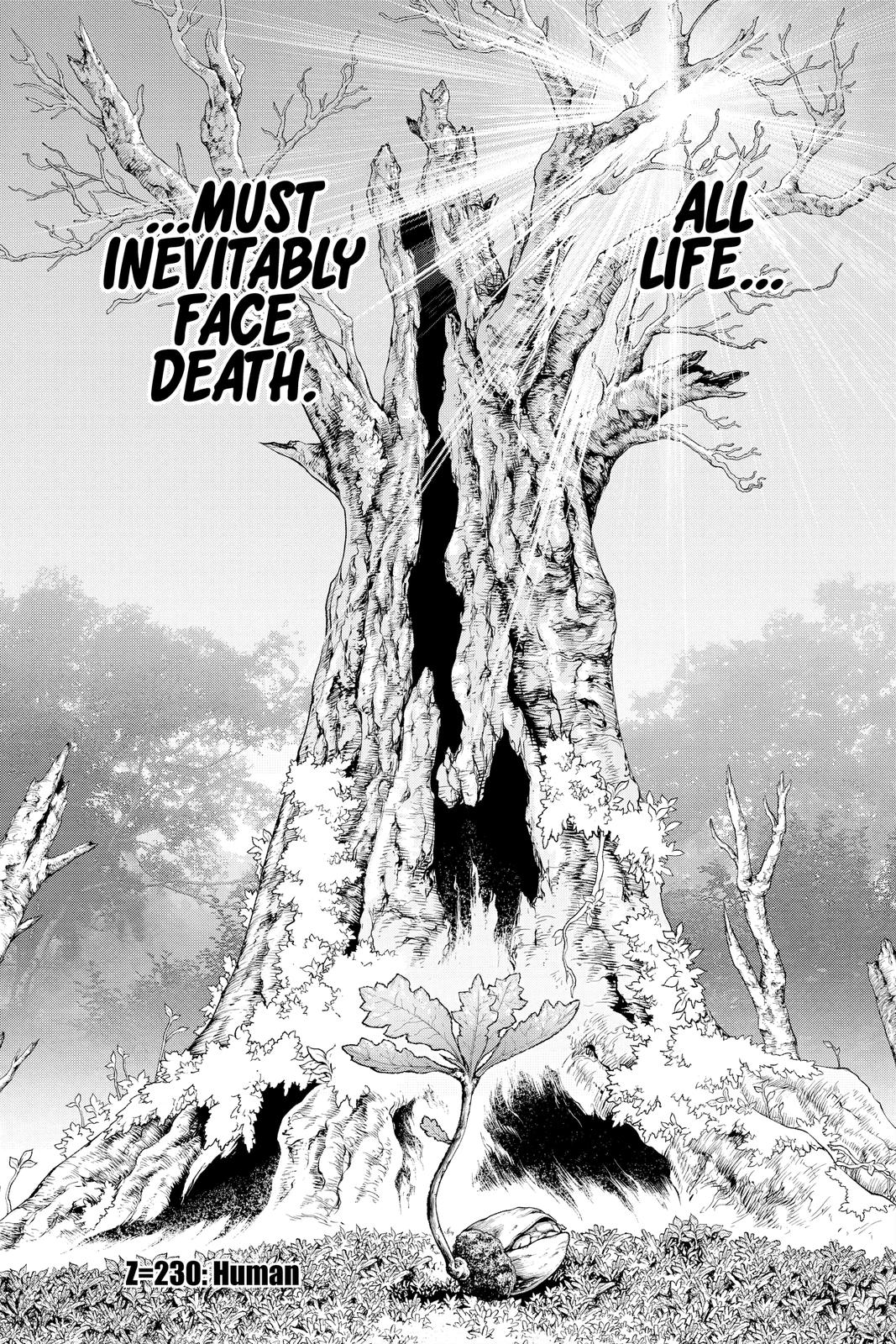 Read Dr. STONE Manga Online