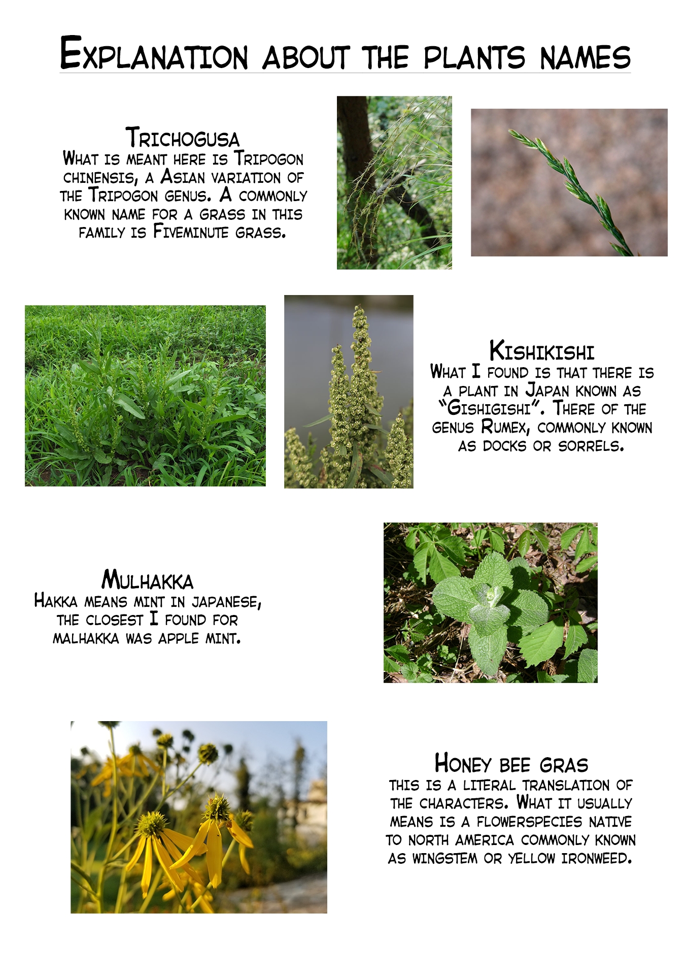 Read Dragon Daddy Diaries A Girl Grows to Greatness Manga Online