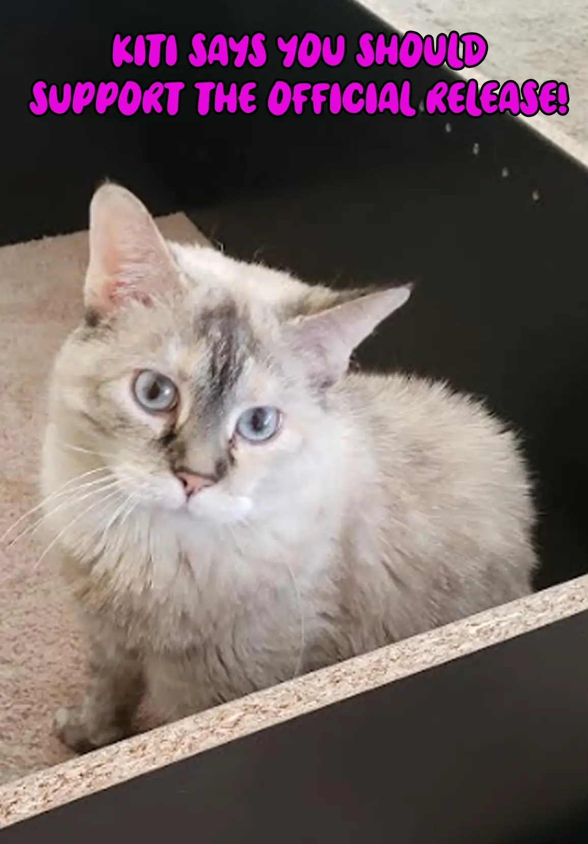 Read Dream Jumbo Girl Manga Online