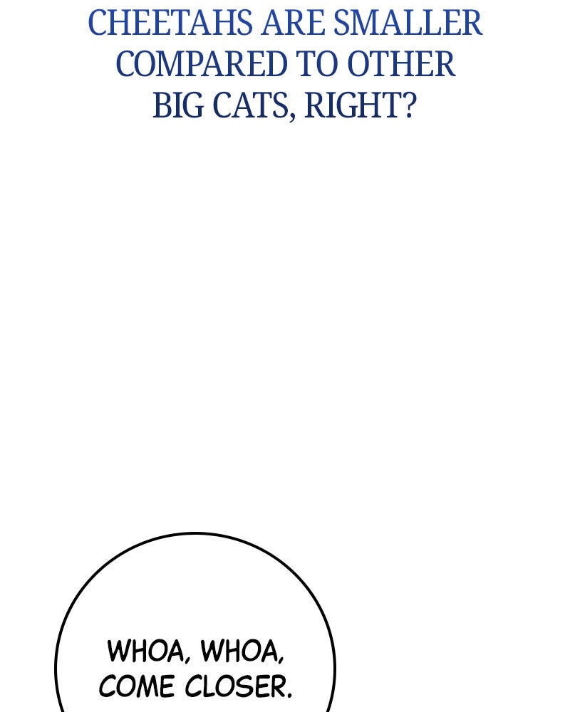 Read High School Queen Manga Online