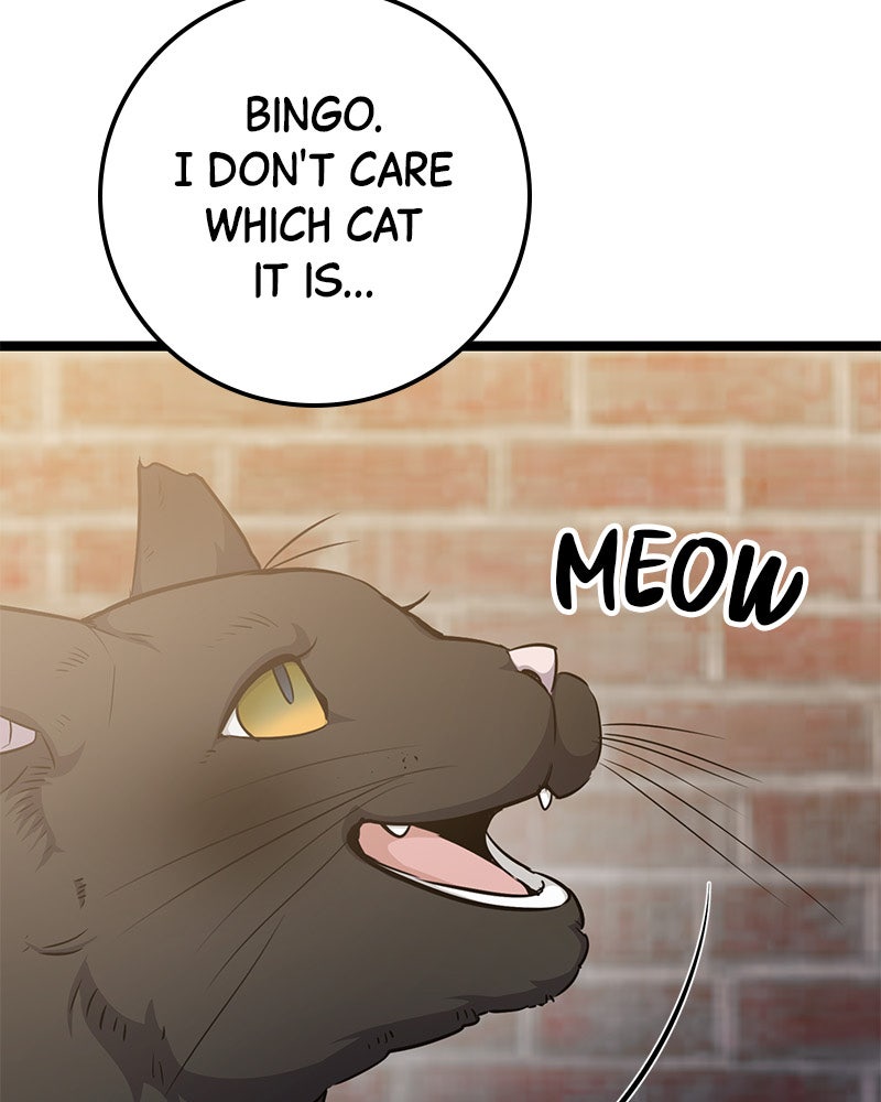 Read High School Queen Manga Online