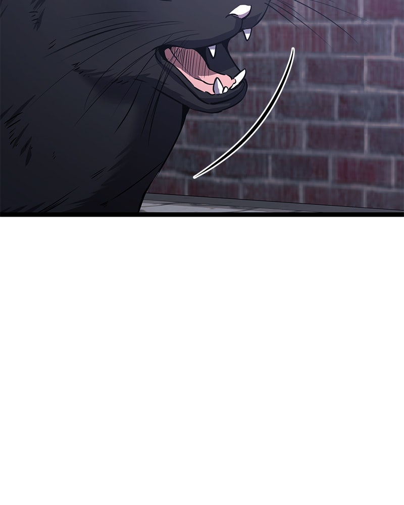 Read High School Queen Manga Online