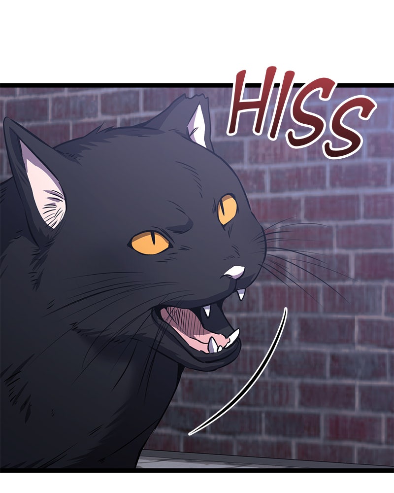 Read High School Queen Manga Online