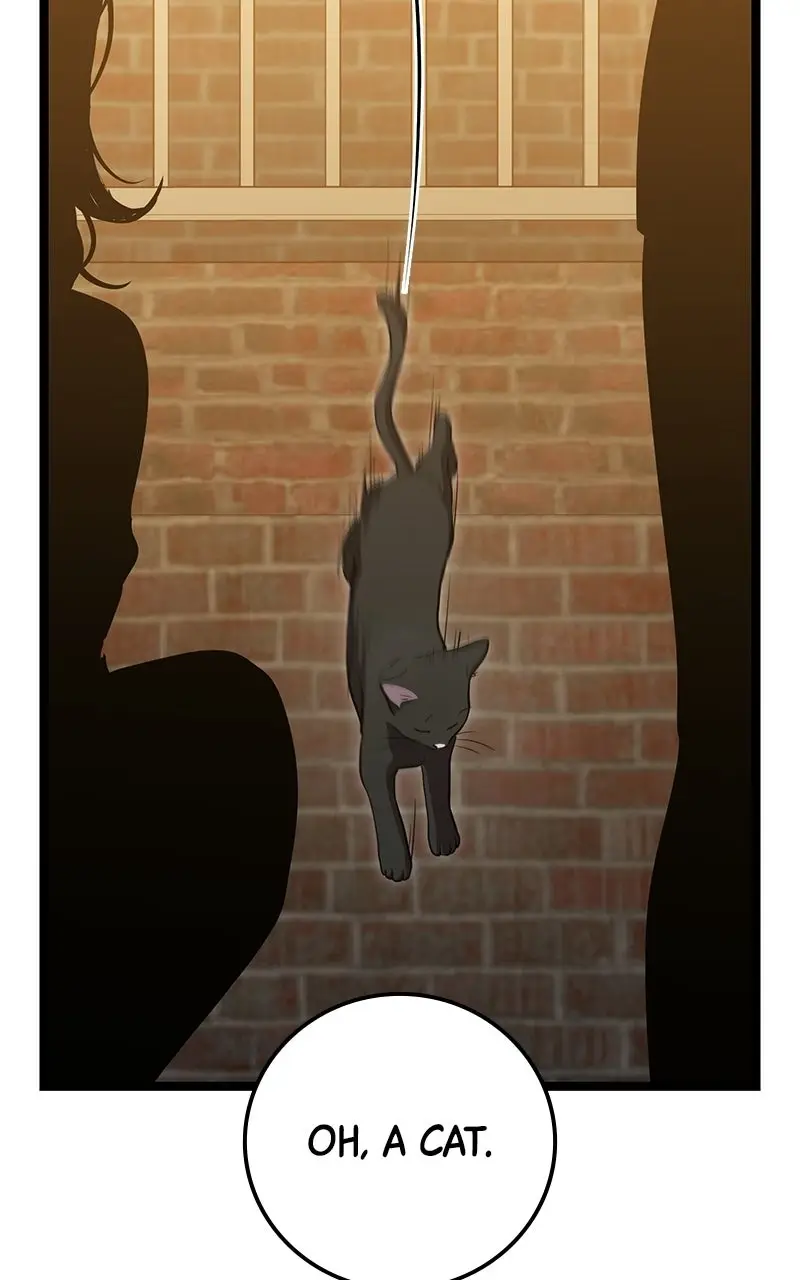 Read High School Queen Manga Online