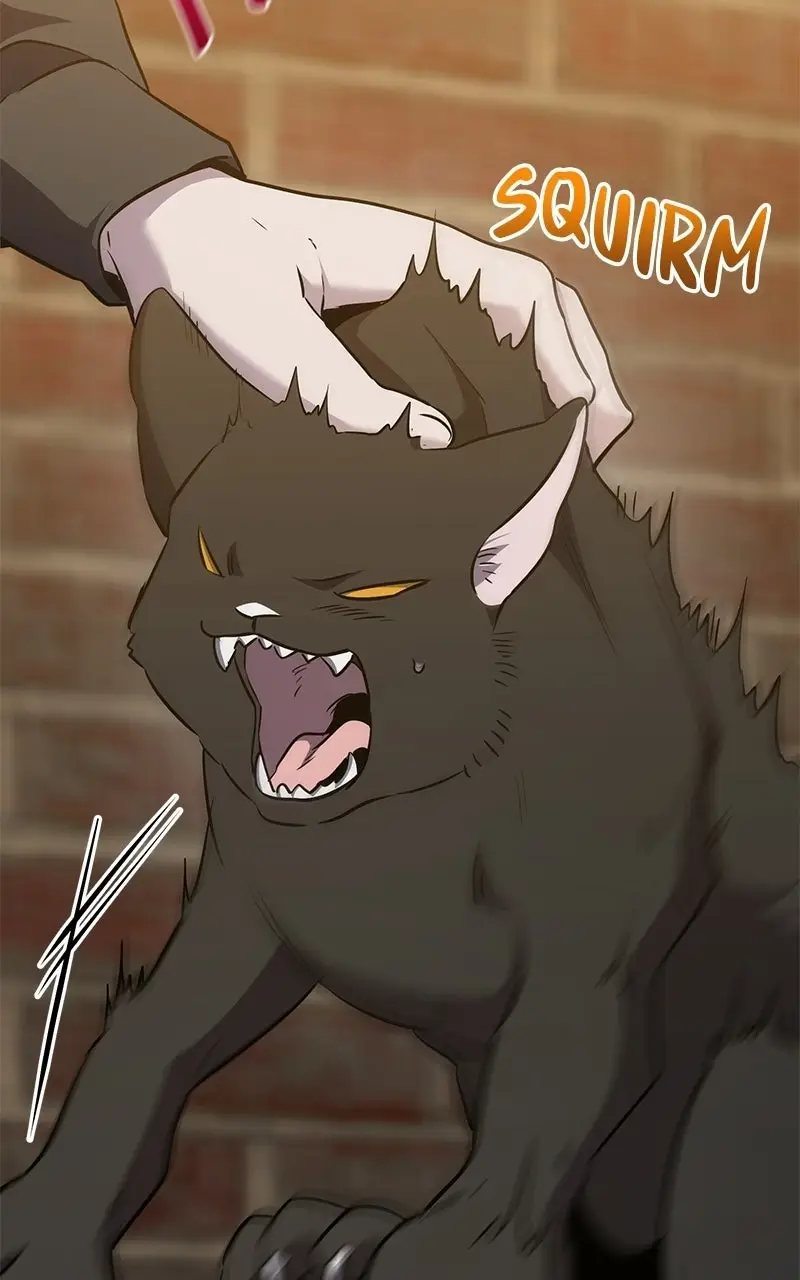 Read High School Queen Manga Online