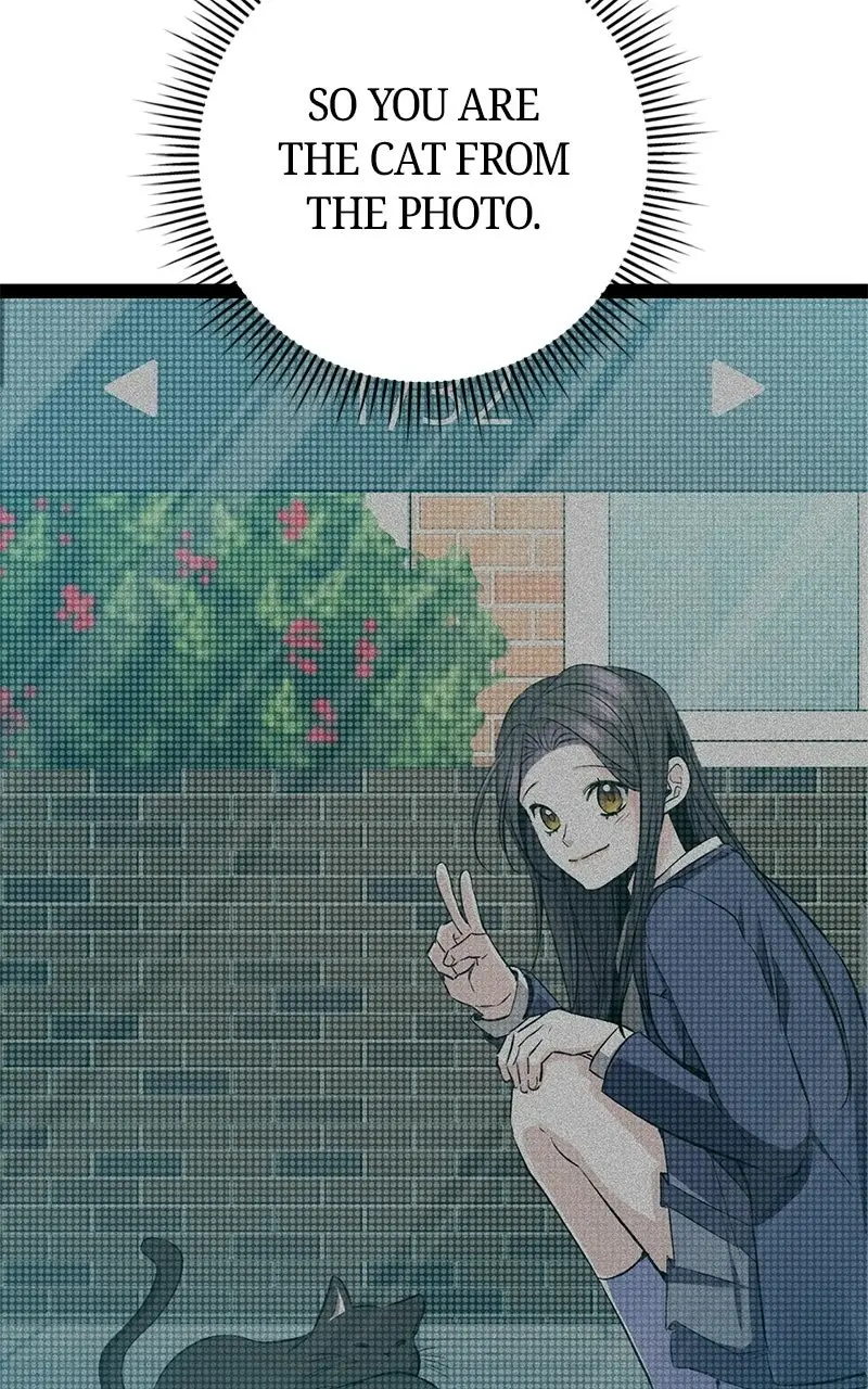 Read High School Queen Manga Online