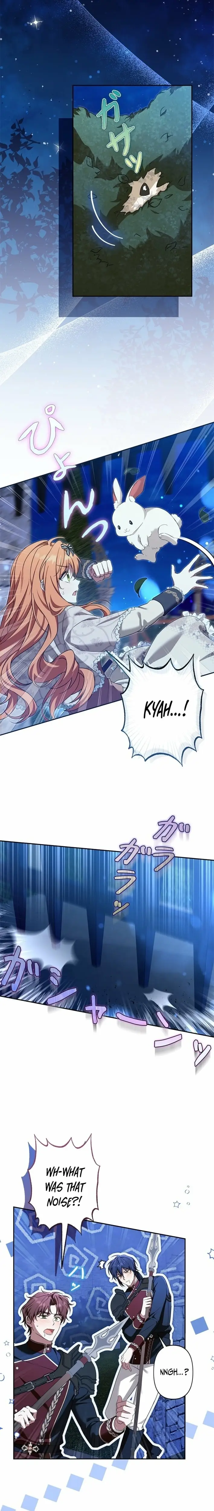 Read I Will Protect My Older Brother Manga Online