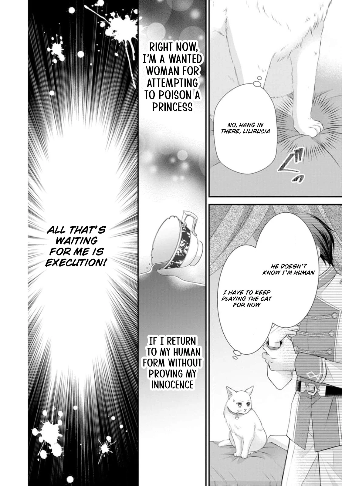 Read Noroi de Neko ni Sareta Akujo, Outaishi ni Hirowareru Manga Online