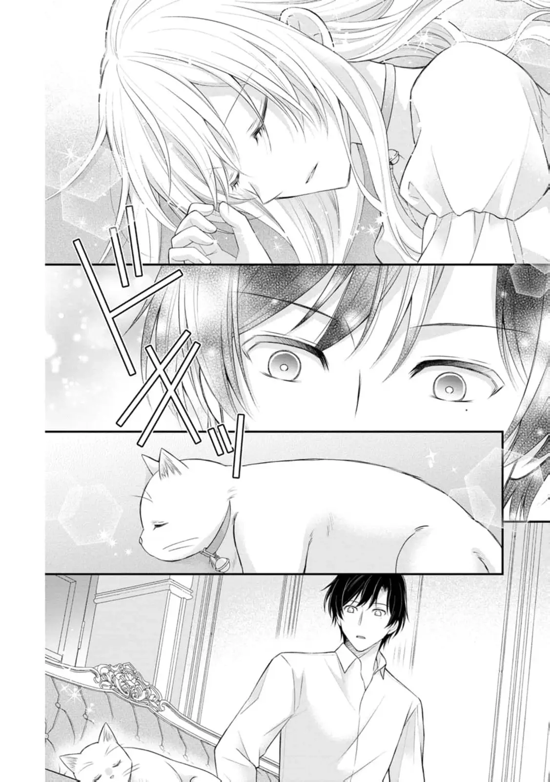 Read Noroi de Neko ni Sareta Akujo, Outaishi ni Hirowareru Manga Online