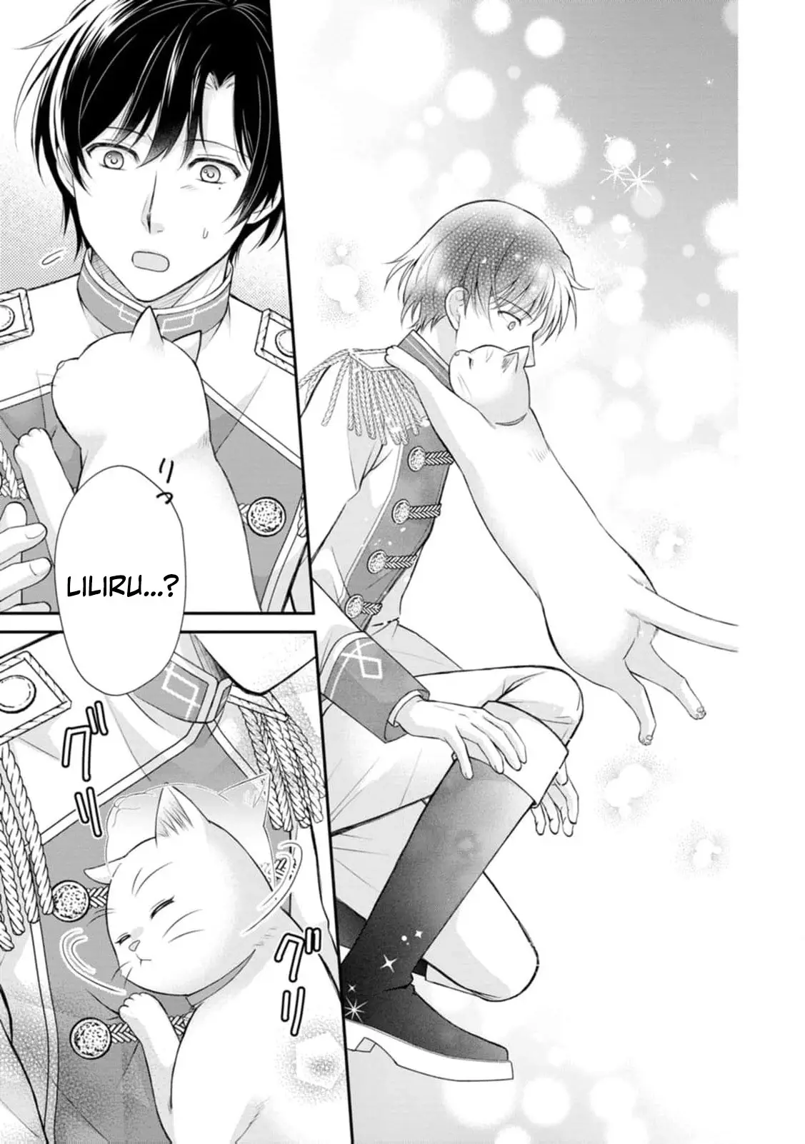 Read Noroi de Neko ni Sareta Akujo, Outaishi ni Hirowareru Manga Online