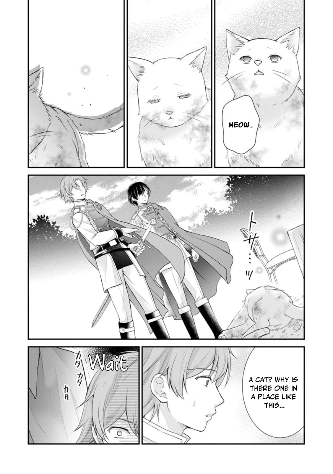 Read Noroi de Neko ni Sareta Akujo, Outaishi ni Hirowareru Manga Online