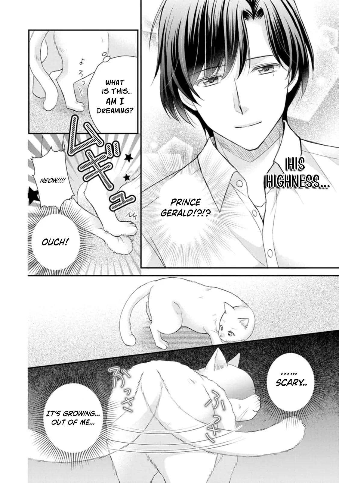 Read Noroi de Neko ni Sareta Akujo, Outaishi ni Hirowareru Manga Online