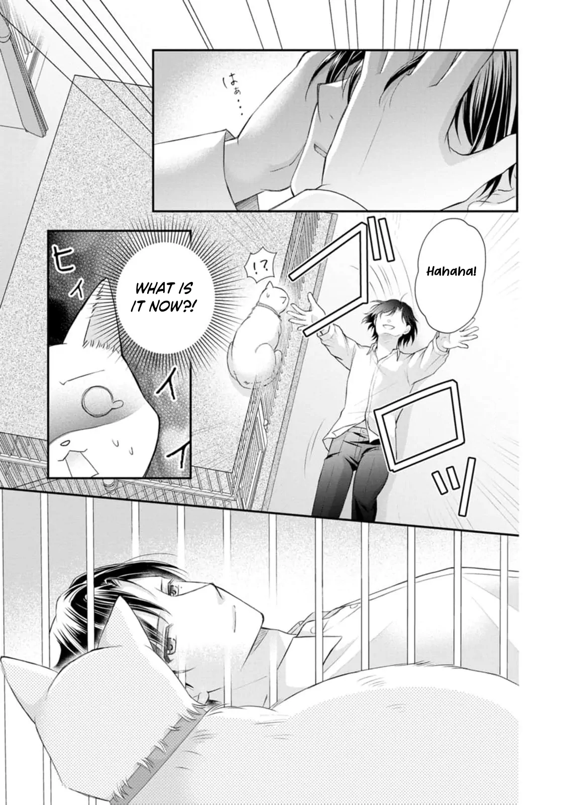 Read Noroi de Neko ni Sareta Akujo, Outaishi ni Hirowareru Manga Online