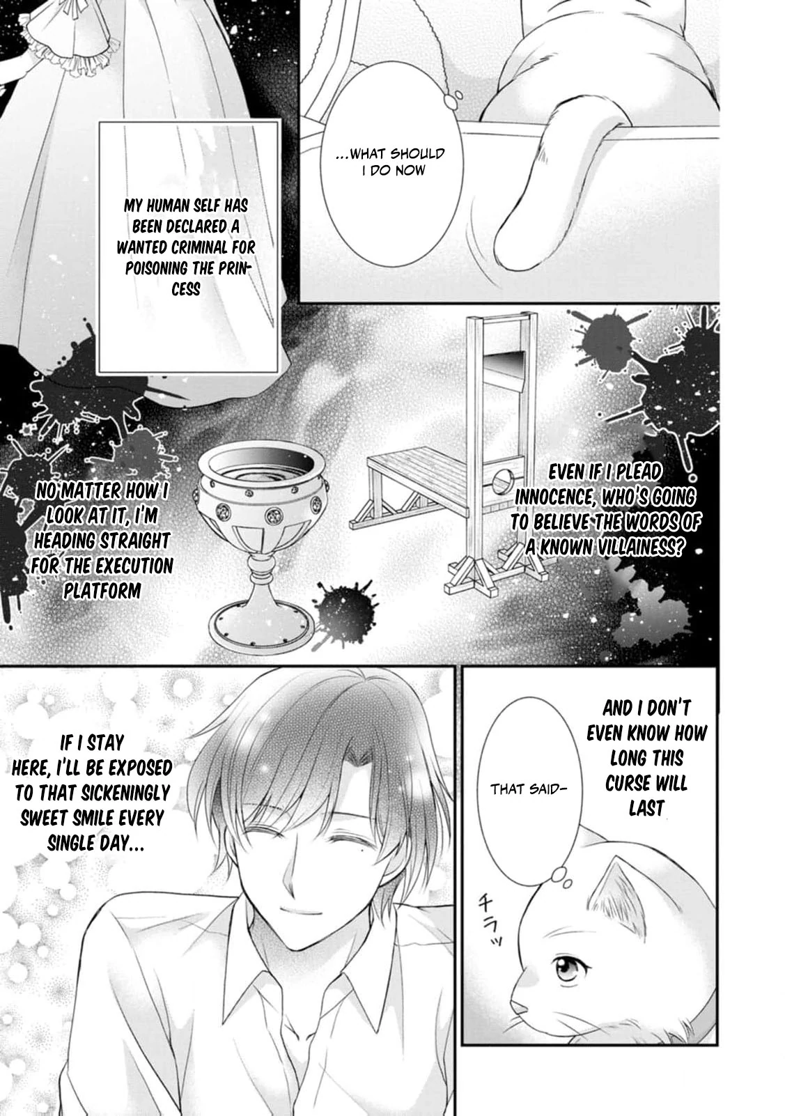 Read Noroi de Neko ni Sareta Akujo, Outaishi ni Hirowareru Manga Online