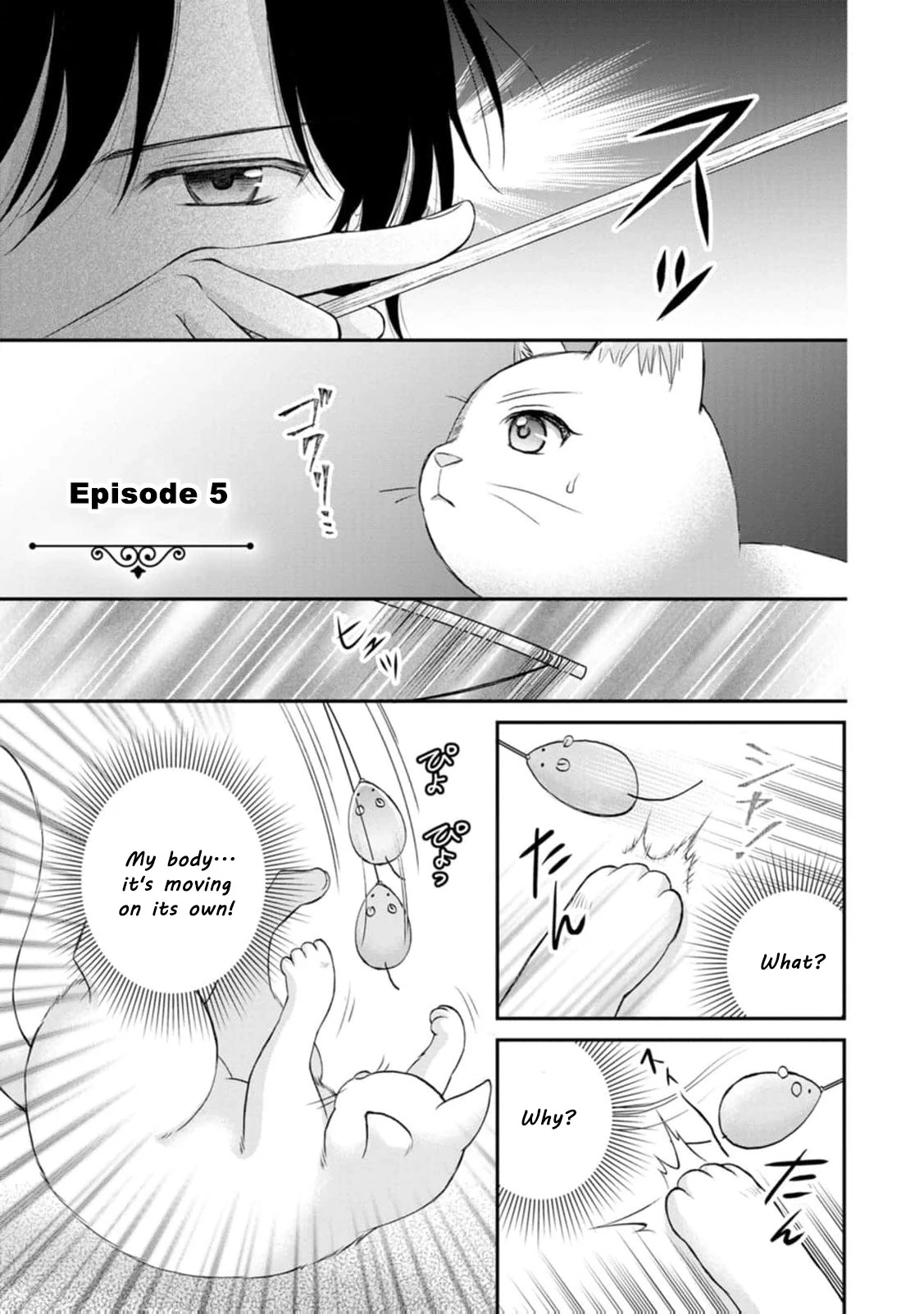 Read Noroi de Neko ni Sareta Akujo, Outaishi ni Hirowareru Manga Online