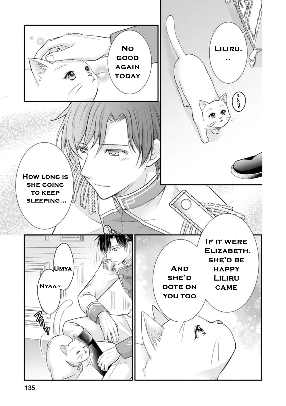 Read Noroi de Neko ni Sareta Akujo, Outaishi ni Hirowareru Manga Online