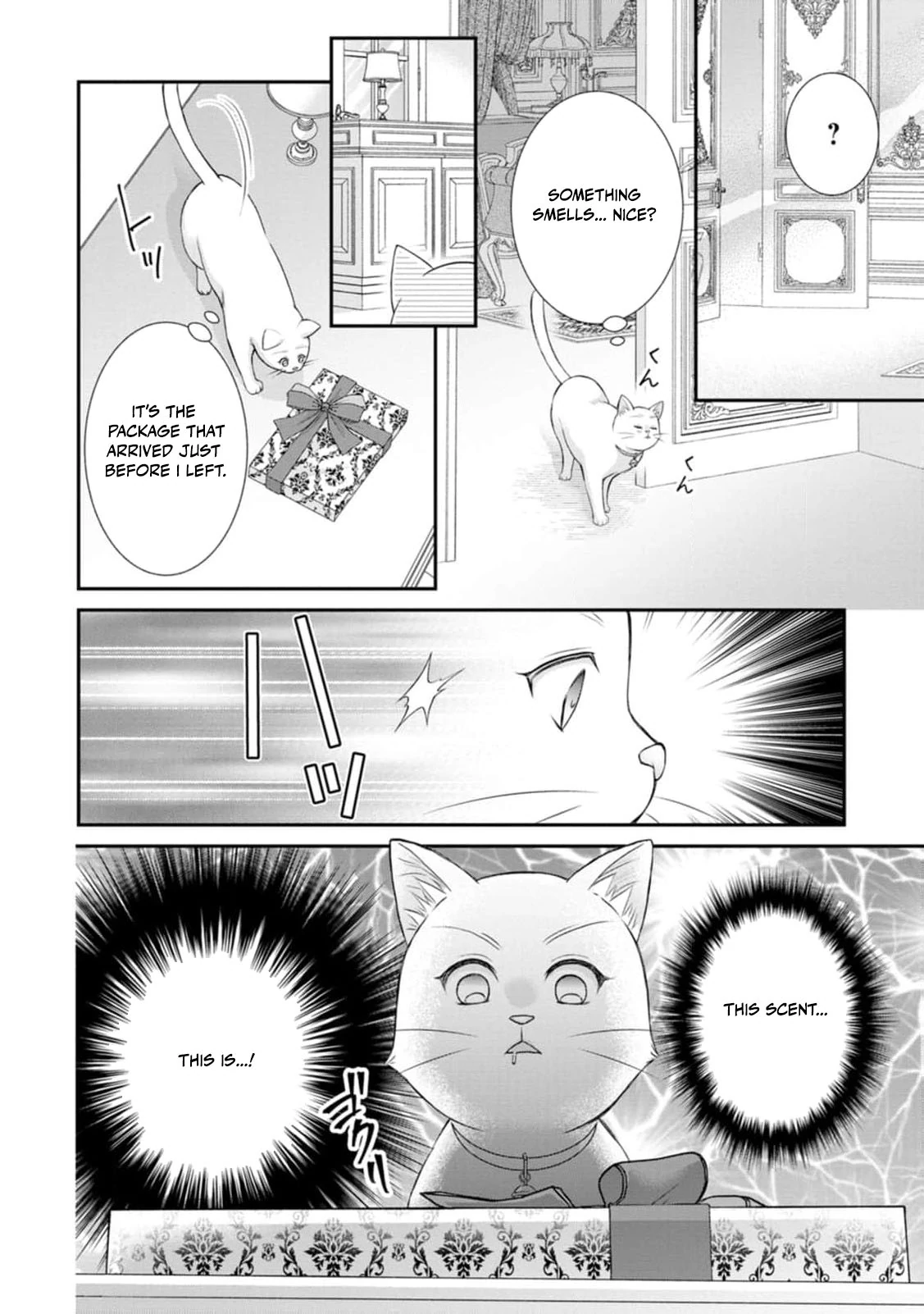 Read Noroi de Neko ni Sareta Akujo, Outaishi ni Hirowareru Manga Online