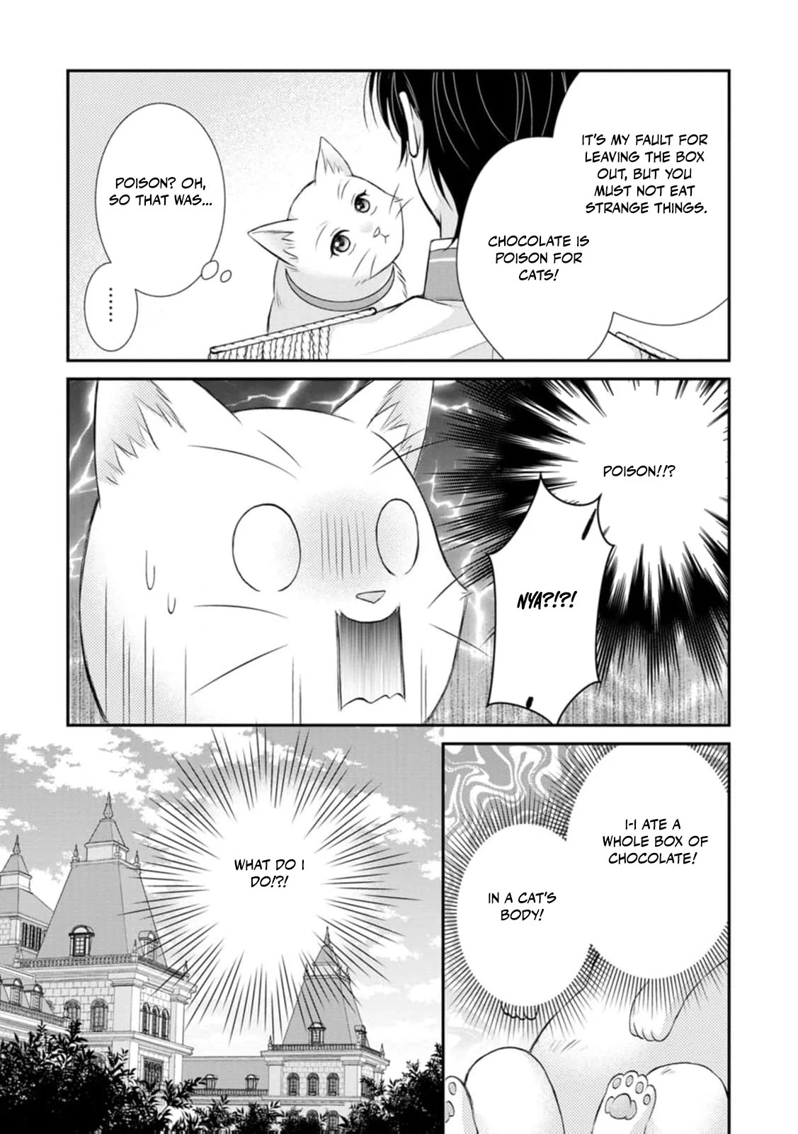 Read Noroi de Neko ni Sareta Akujo, Outaishi ni Hirowareru Manga Online