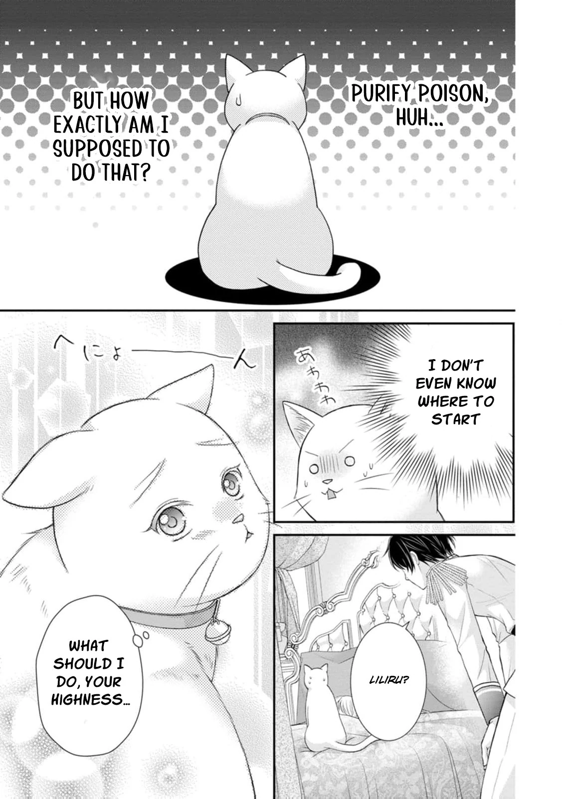 Read Noroi de Neko ni Sareta Akujo, Outaishi ni Hirowareru Manga Online