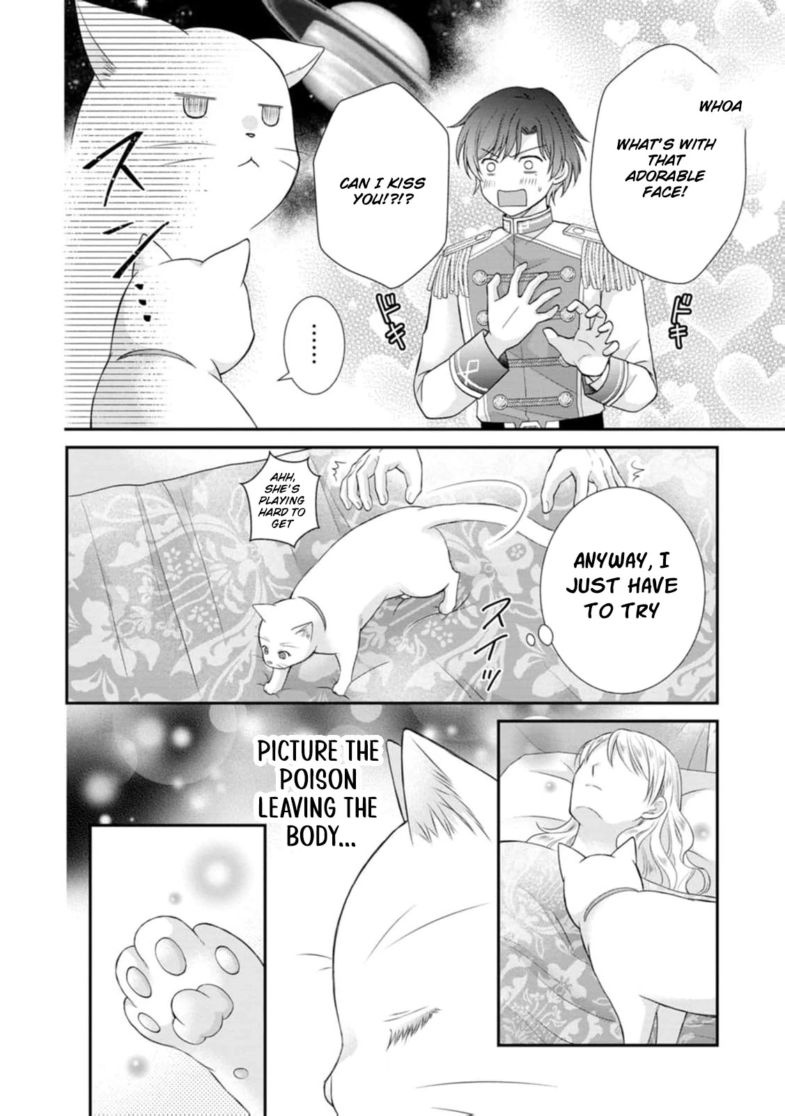 Read Noroi de Neko ni Sareta Akujo, Outaishi ni Hirowareru Manga Online