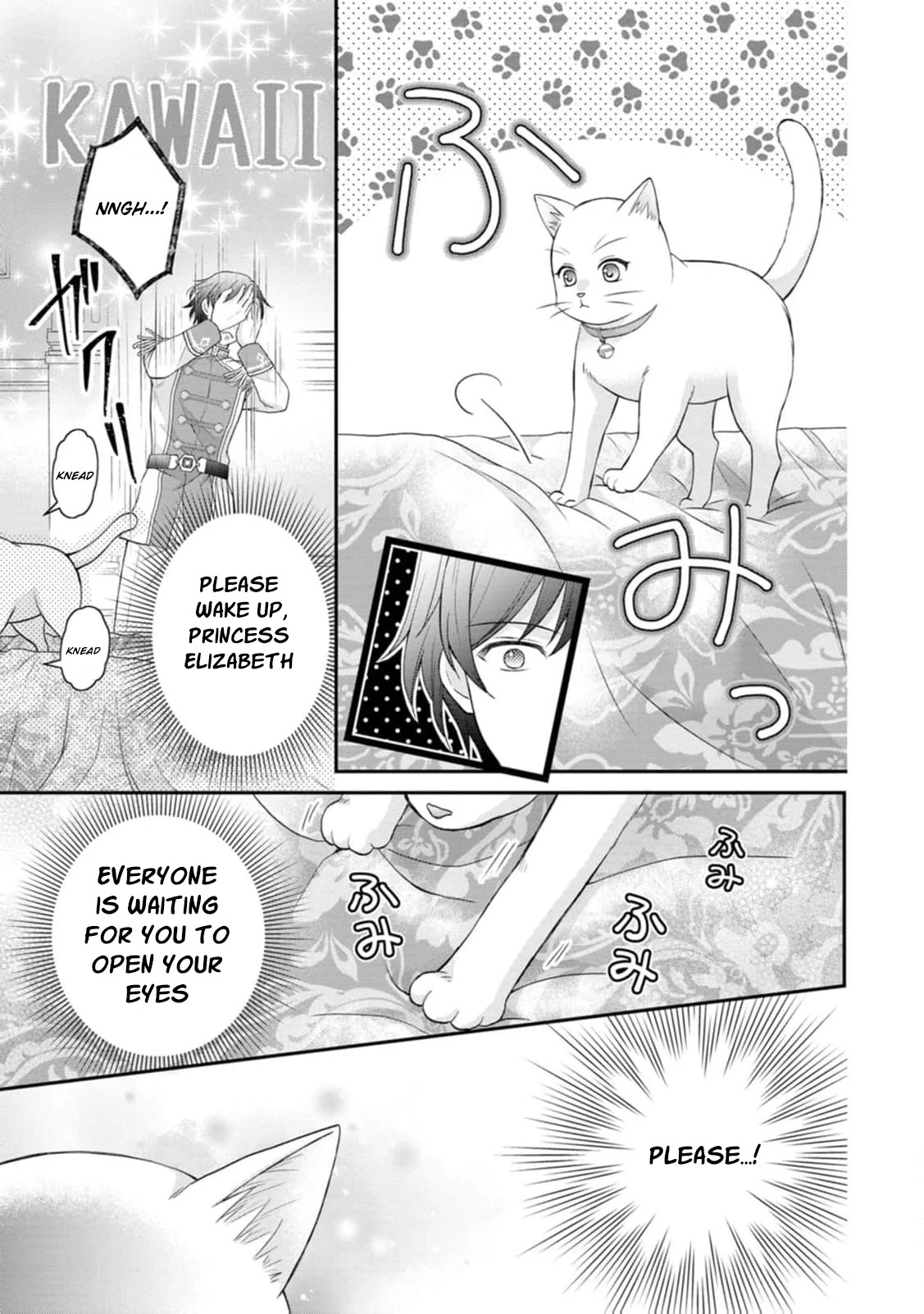 Read Noroi de Neko ni Sareta Akujo, Outaishi ni Hirowareru Manga Online